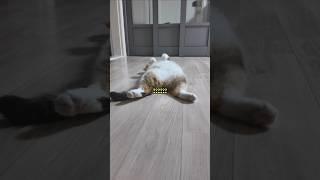 다른건 다 참아도 그건 좀...