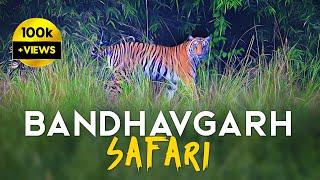 EP 01 - Magadhi Zone Safari - Bandhavgarh Tiger Reserve - 4K Video Hindi | हिन्दी