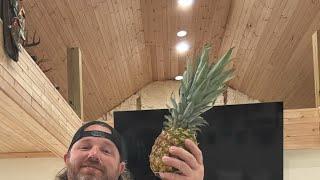 Steven Hodges and fruit show