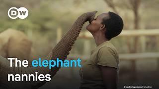 Rescuing orphaned baby elephants in Kenya | DW Documentary