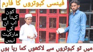 Visit Lyallpur Loft Fancy Pigeon Farm In Faisalabad Pakistan | All Info About Pigeons