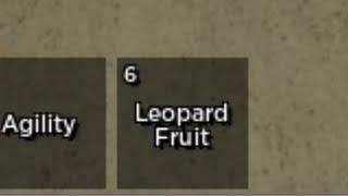 Getting Leopard Fruit By Accident... ( Blox Fruit )