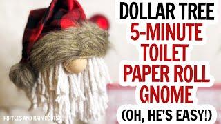 Toilet Paper Christmas Gnome / Gnome from a TP Roll / Christmas Gnome / Toilet paper Roll Cover DIY