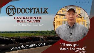 DocTalk Ep 318 - Castration of Bull Calves