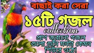 অতীতের বাছাইকৃত সেরা ১৫টি কষ্টের গজল | Mrittor Gojol | মরনের গজল