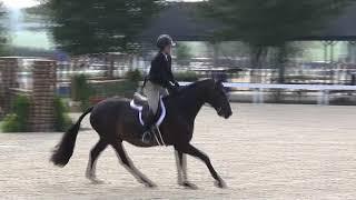 Video of ALWAYS ridden by VICTORIA COLVIN from ShowNet!