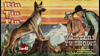 The Test (1935) | Full Movie | Rin Tin Tin Jr | Grant Withers | Grace Ford