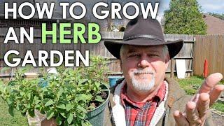 How to Grow an HERB Garden - The EASY DIY Essentials || Black Gumbo