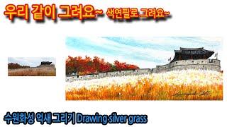 477회) 수원화성 억새 그리기Drawing silver grass#티노씨실시간 #그림독학 #여행드로잉 #