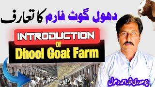 Introduction of Dhool Goat Farm||دھول گوٹ فارم کا تعارف