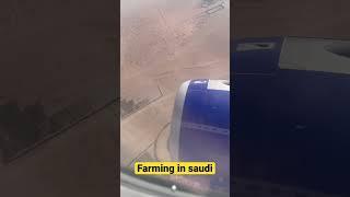 Farming in saudi like this #shorts