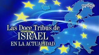 Las doce tribus de ISRAEL en la actualidad