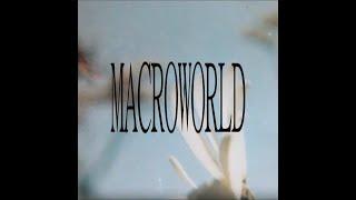 free yeat x bnyx loop kit - "MACROWORLD"