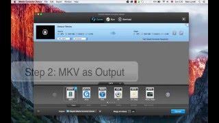 iSkysoft iMedia Converter Deluxe- How to Convert MP4 to MKV on Mac/Win