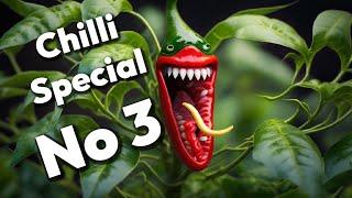 Potty Mouth Garden Club Chilli Special No 3  Secrets to Successful Chilli Pepper Growth