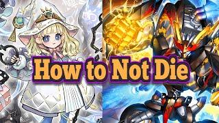 White Forest: How to Deckbuild for Ryzeal