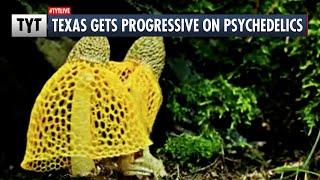 Texas On Board With Magic Mushrooms?