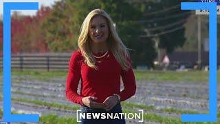 American family farms going broke | NewsNation Live