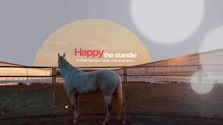 Welcome to Our Channel! | Happy the Standie