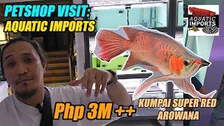 Petshop Visit: Aquatic Imports - Super Rare Arowana / Monster Fish