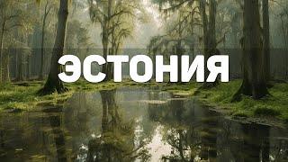 Путешествие по Эстонии  |  Природа Эстонии