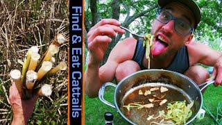 Best Way to Eat Cattails ::: Foraging Midwest Wild Edible Plants!