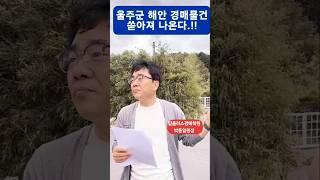 탑플러스경매학원 박동일원장 #울산탑플러스경매학원 #온비드공매 #박동일원장 #울산경매학원 #울주군경매 #봄학기답사 #짱구경매