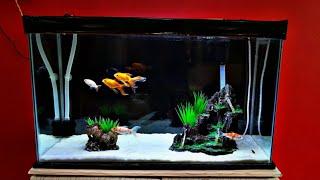 Aquarium lighting setup | True Pets Aqua | Aquarium light