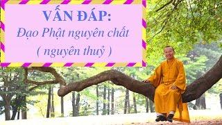 Vấn đáp: Đạo Phật nguyên chất ( nguyên thuỷ ) | Thích Nhật Từ