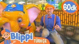 Blippi Orman Hayvanlarını Keşfediyor | Blippi Türkçe - Çocuklar için Eğitici Videolar