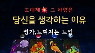 [타로속마음]당신을 생각하는 진짜 이유, 평가,느낌 #타로 #속마음 #재회운