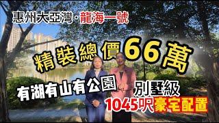 二手筍盤【龍海一號】有湖有山有公園 | 別墅級1045呎豪宅配置 | 精裝總價66萬#惠州房产 #惠州 #房地產 #豪宅 #別墅 #山景房 #湖景房