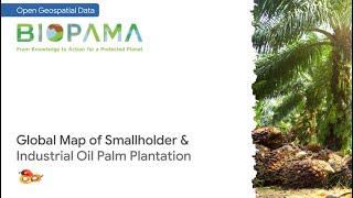 Open data: Global oil palm plantation map 