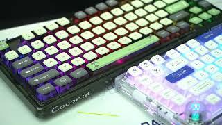 AULA-LEOBOG K81 gasket mechanical keyboard. Clean color combo! #keyboard #asmr