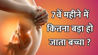 प्रेग्नेंसी के सातवें महीने में कितना बड़ा हो जाता है बच्चा ?