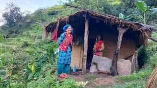 This is Himalayan Nepali village life || Naturally And Beautiful Himalayan Rainy Season lifestyle