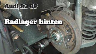 Audi A3 8P Sportback - Radlager hinten wechseln