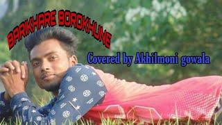 Barikhare borokhune By Akhilmoni gowala babul sumon