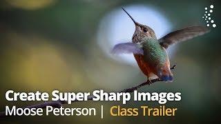 The Secrets to Creating Super Sharp Images with Moose Peterson | Official Promo