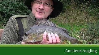 Perch fishing with waggler and prawns