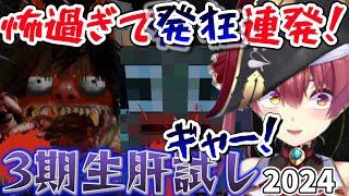 マイクラ肝試しでビビりまくり、発狂が止まらない3期生まとめ【宝鐘マリン/ホロライブ切り抜き】