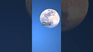 What happens if the the moon disappeared?     #short #facts #didyouknow #explore #discover #moon