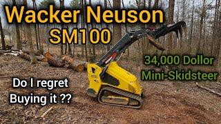 Wacker Neuson SM100 Mini-Skid 120h Review | I Should Have Gone With The Bigger One..