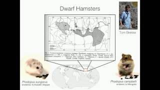 J Good: Genomic imprinting and speciation in mammals.