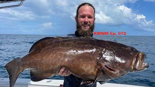 Turning Fish Into Cash $$$ - Commercial Spearfishing Key West