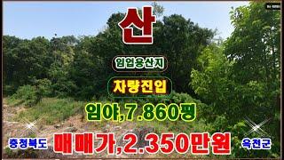 물번.676번) 임야.7.860평 매매가,2.350만원입니다, 농림지역,임업용산지, 전기 앞에 들어와 있고 남향에다 경사도 20~25도로 산림진흥원 다드림제공~차량근접진입 됩니다,