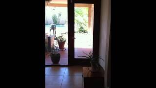 Phoenix Rental House, House For Rent Downtown Phoenix