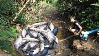 Survival skills, Natural fishing techniques, Unique fishing videos, Best fishing skills