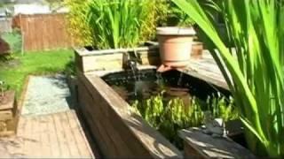 Learn How To Build Your Own Raised Koi Pond