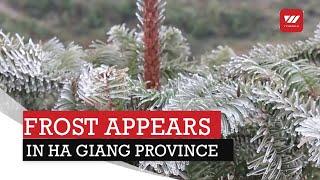 Frost Appears In Ha Giang Province | VTV World